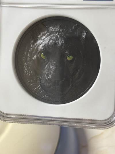 获奖帕劳2020年夜间猎人黑豹镶嵌黑曜石2盎司纪念银币，获得2021年度钱币之星最佳原创技术币大奖第二名，999银，发行888枚