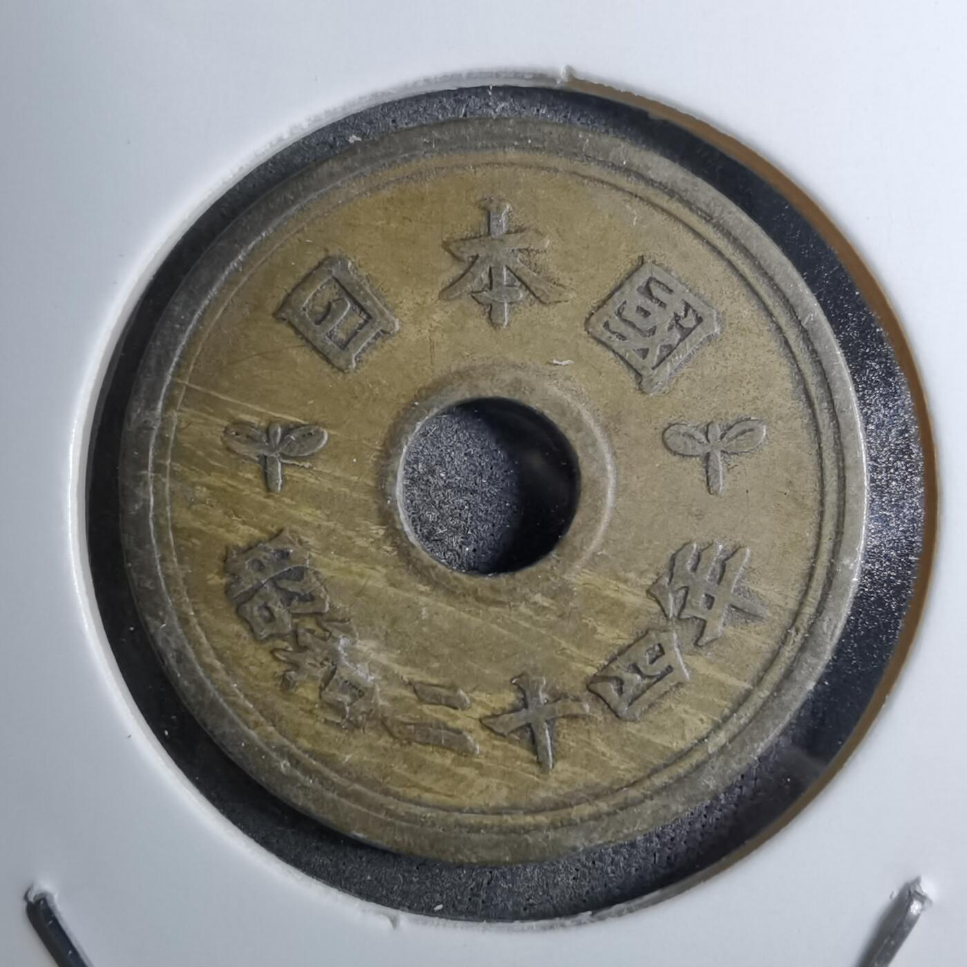 沼泽如烟--第888场