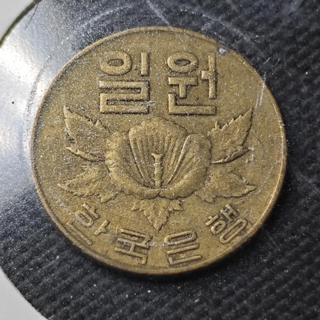 KK钱币收藏小铺  第363场  2月预留时间 周末发货