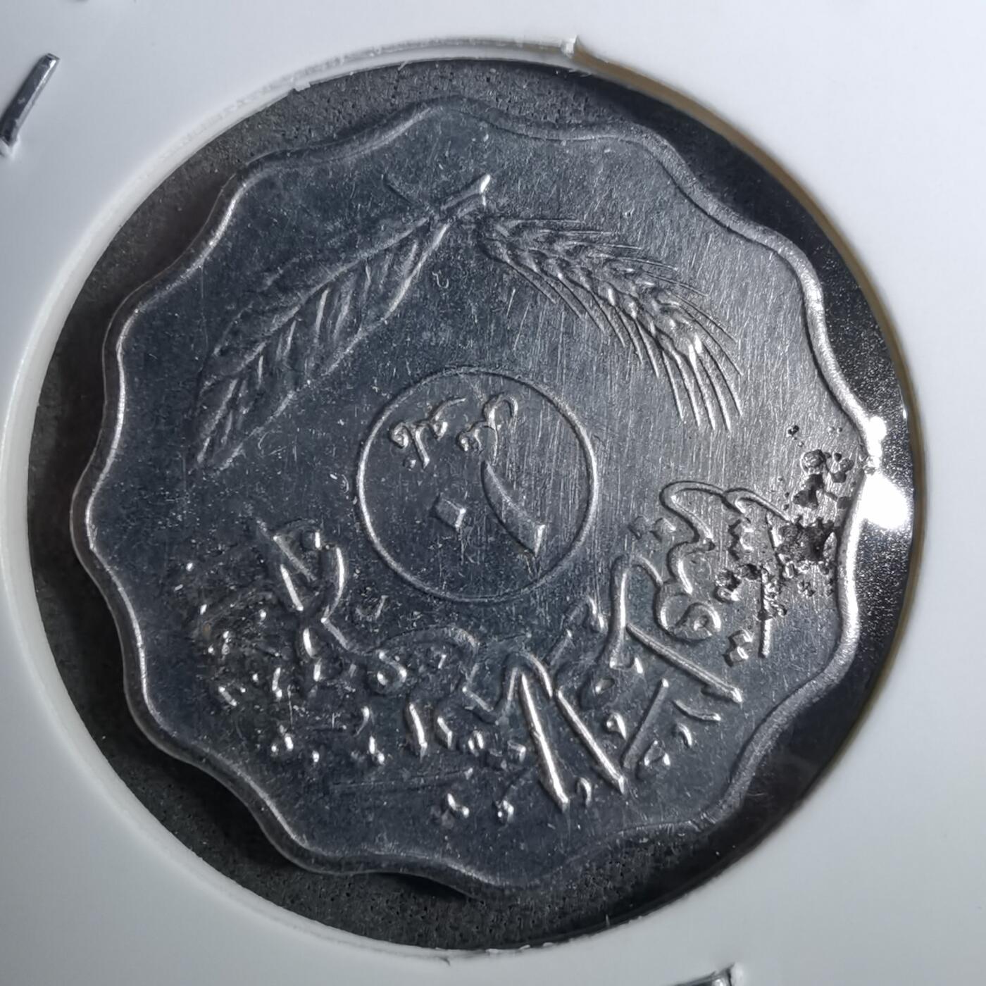 沼泽如烟--第888场