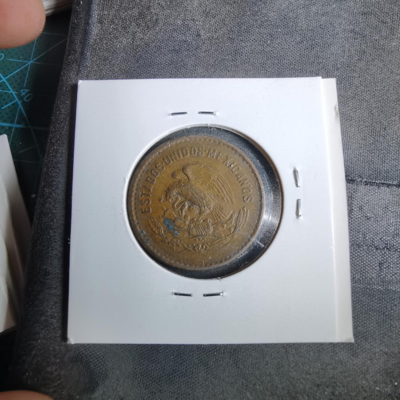 沼泽如烟--第889场