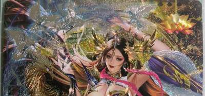 C先生卡牌 第15期 元集纪·刷子签·罐儿签·毒瘤签(持续收拍品中...) - 【粗闪】卡玩帕克《魂姬三国》荀攸姬