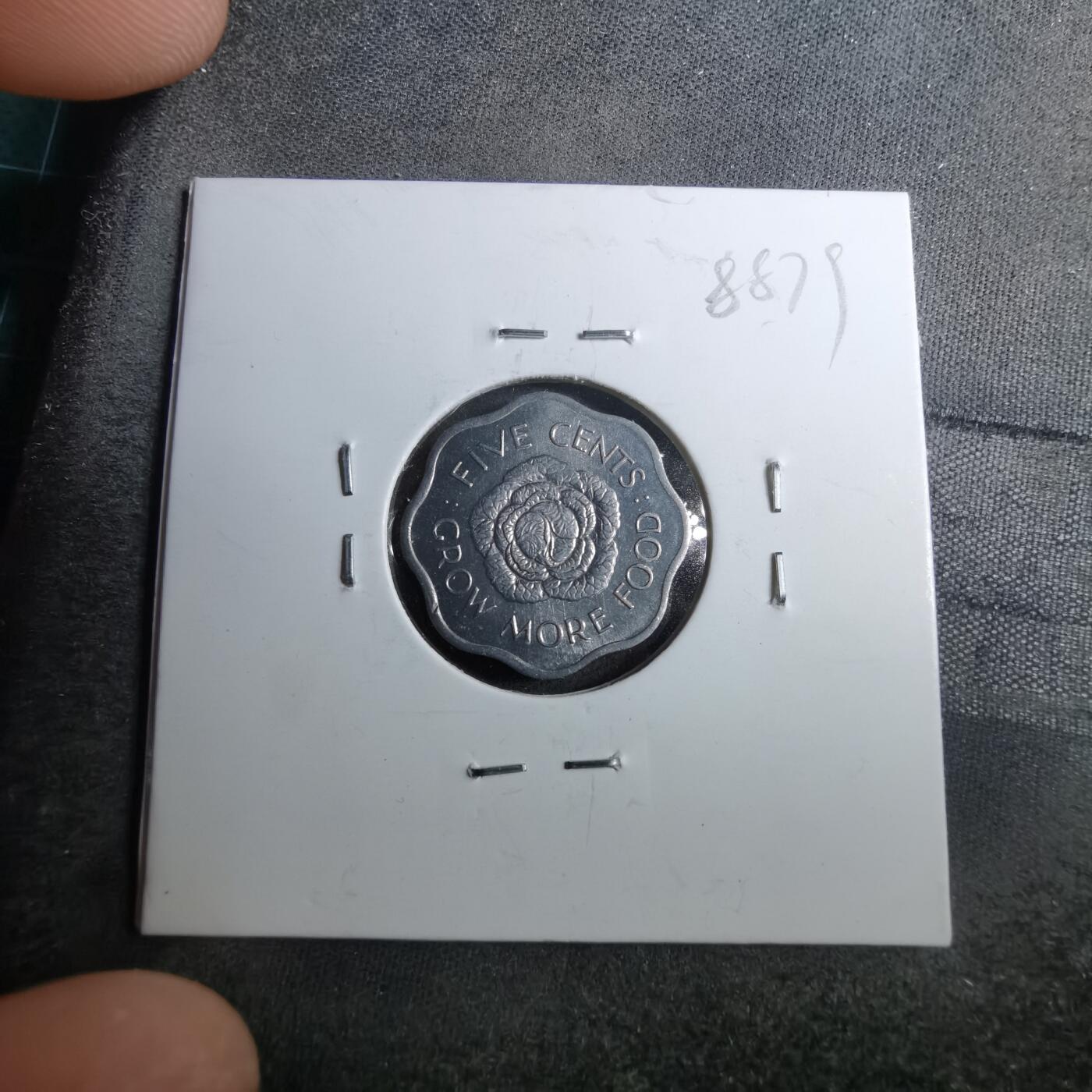 沼泽如烟--第888场