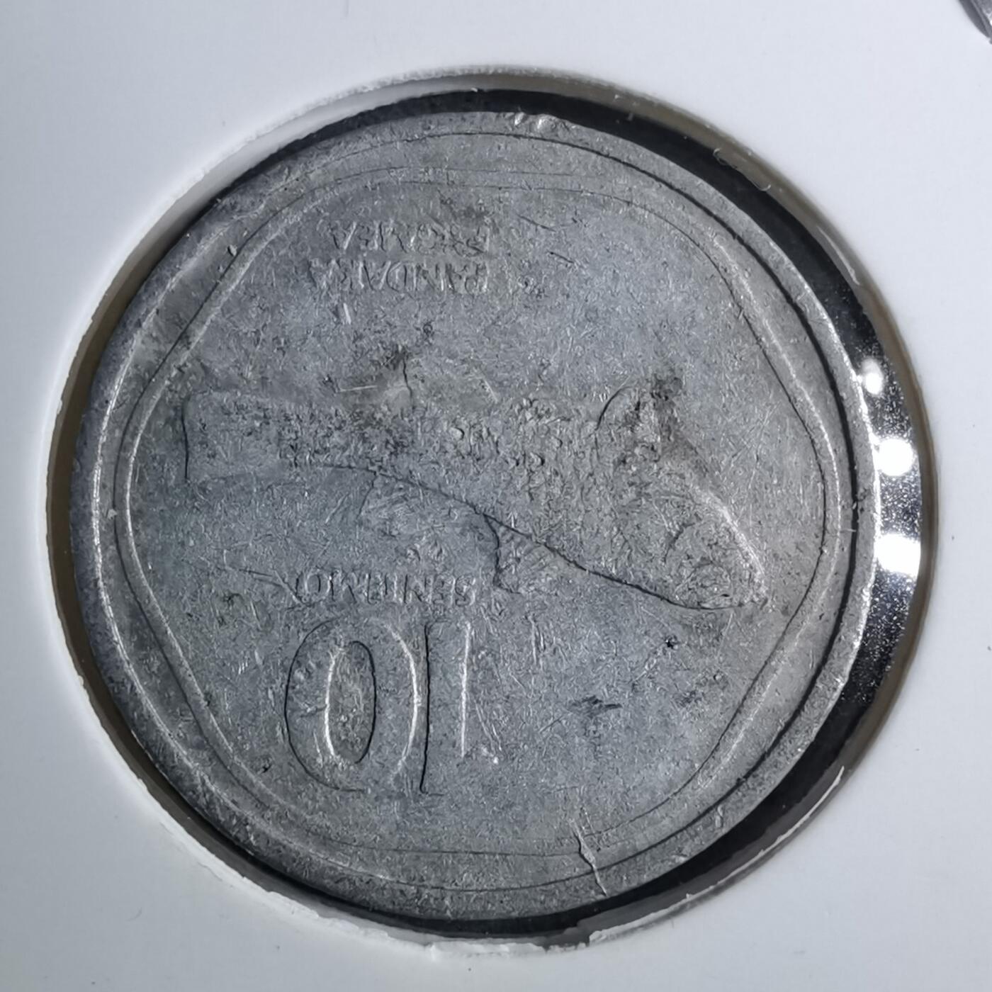 沼泽如烟--第888场