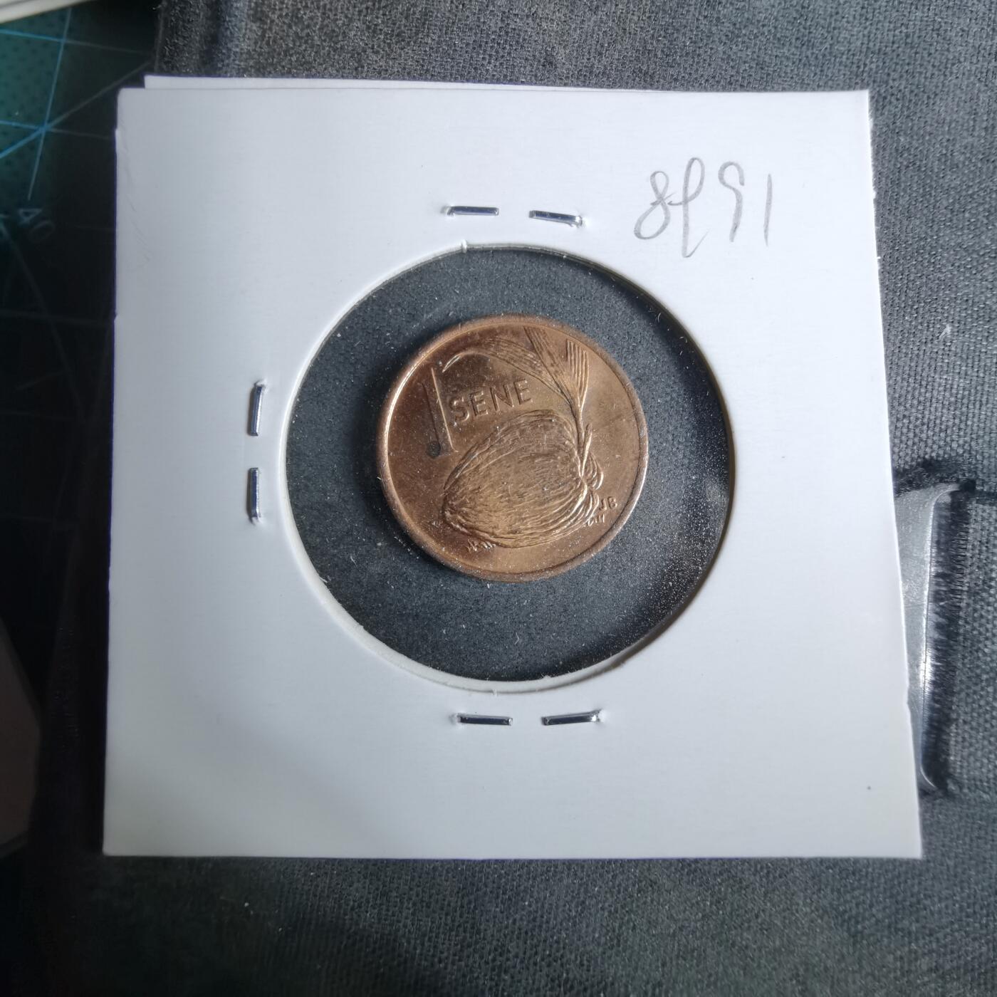 沼泽如烟--第889场