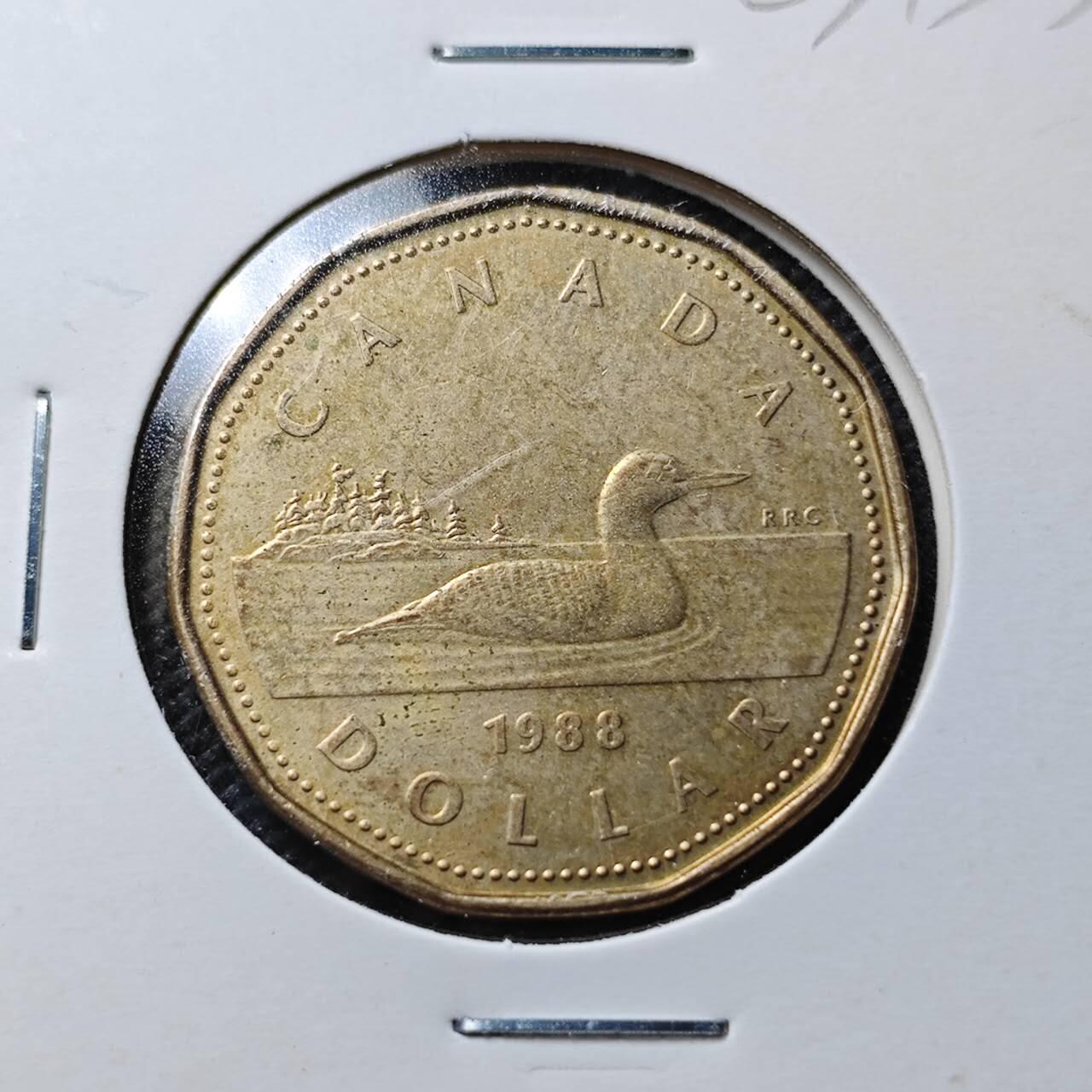 KK钱币收藏小铺  第363场  2月预留时间 周末发货  加拿大1元