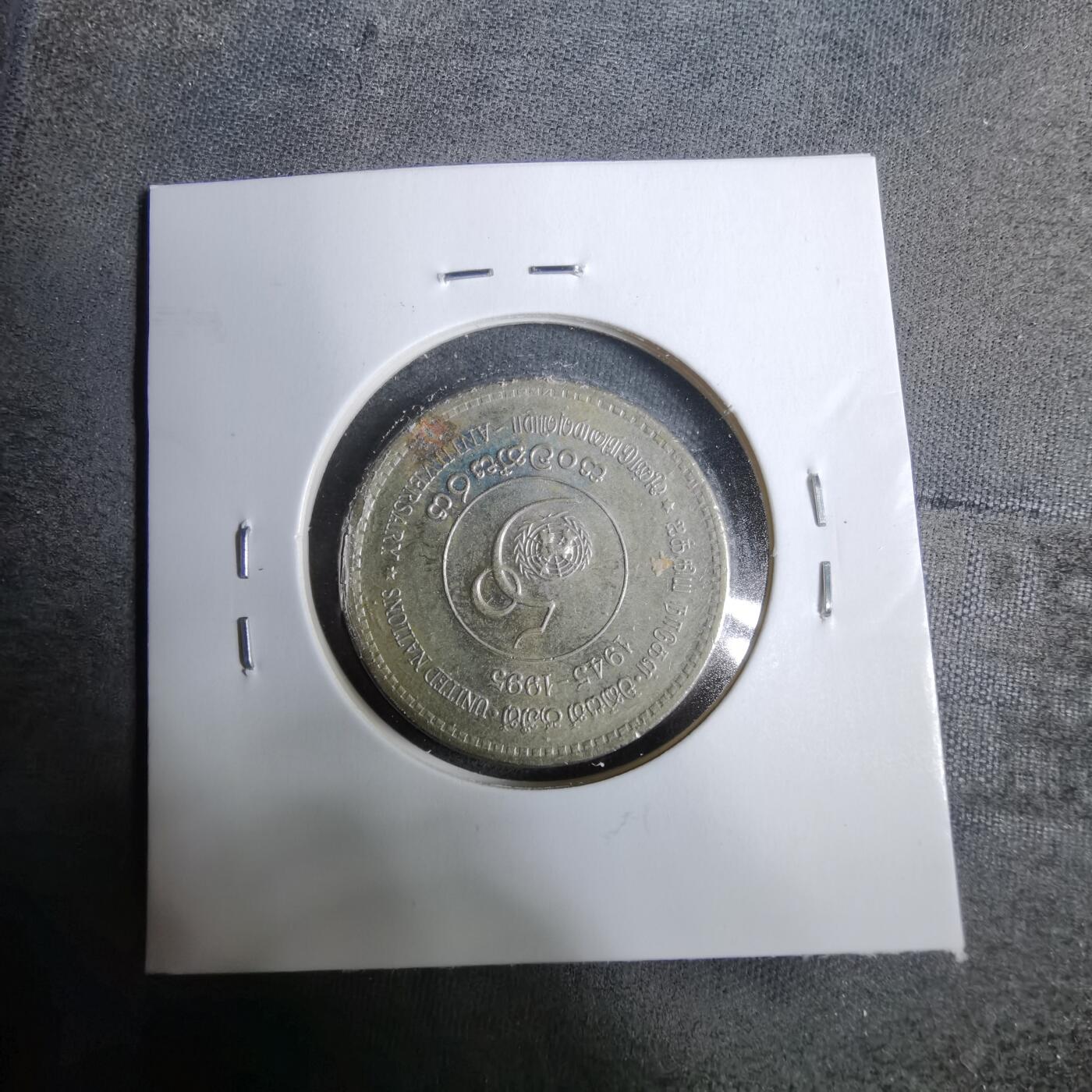 沼泽如烟--第889场