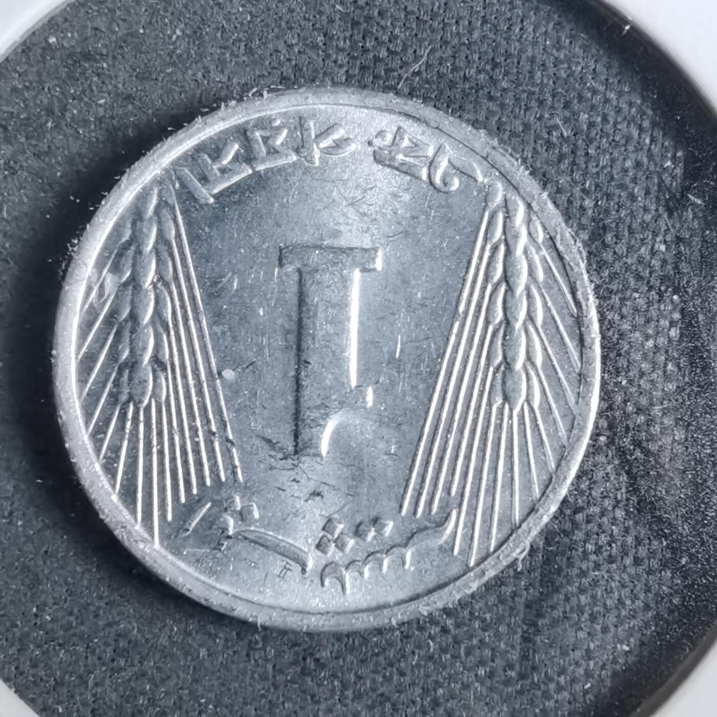 沼泽如烟--第889场