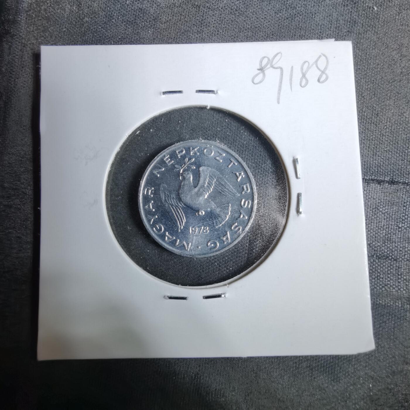 沼泽如烟--第889场