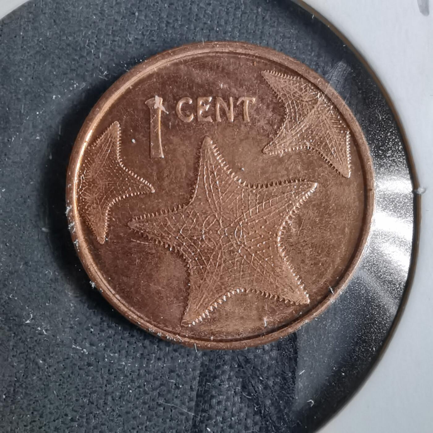 沼泽如烟--第889场