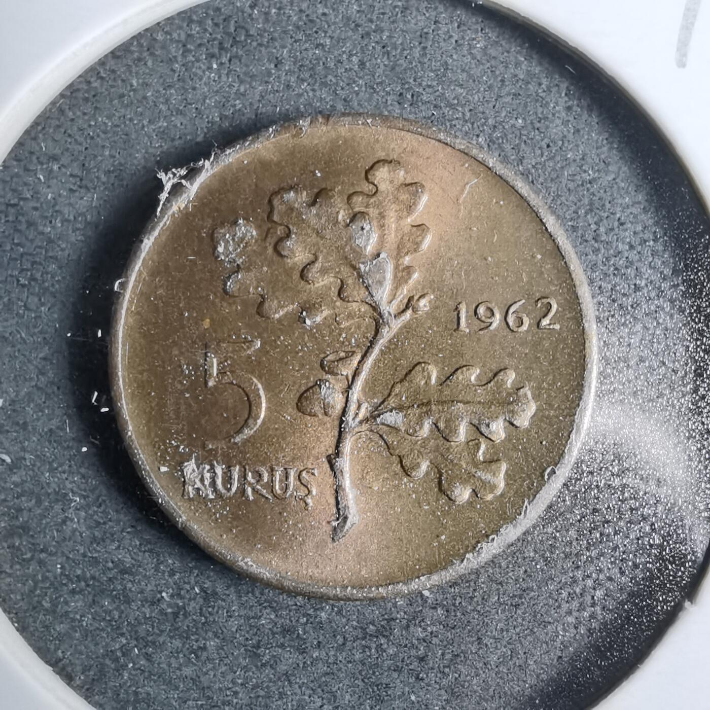 沼泽如烟--第889场