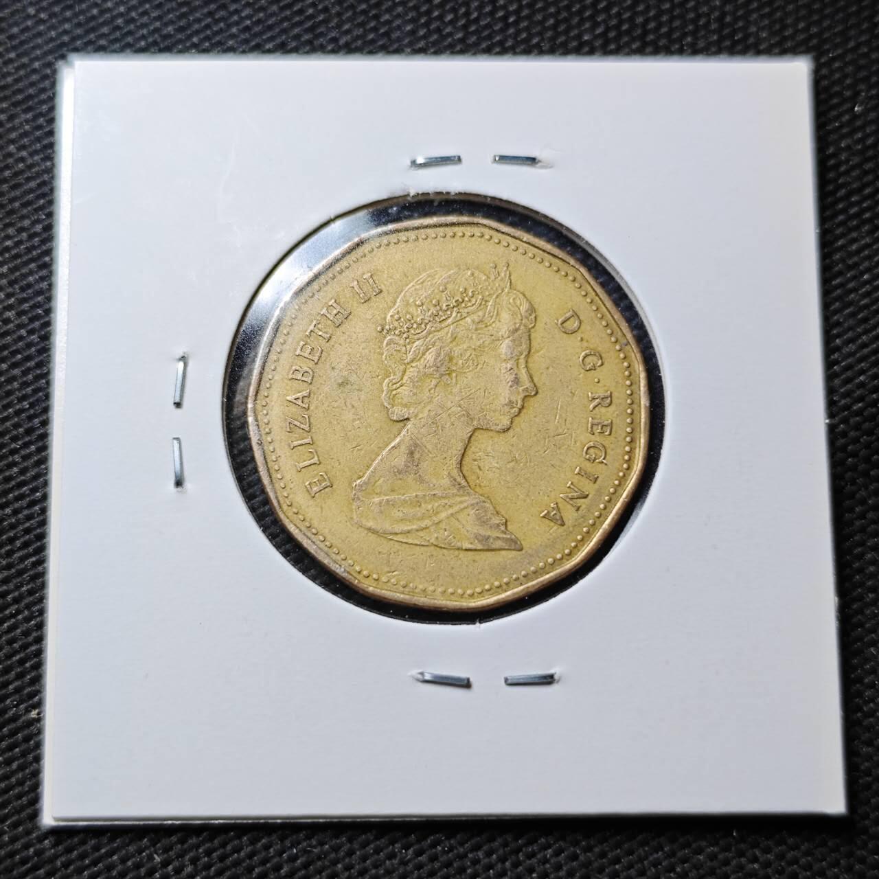 KK钱币收藏小铺  第363场  2月预留时间 周末发货  加拿大1元