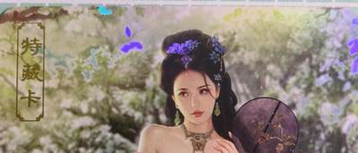 C先生卡牌 第15期 元集纪·刷子签·罐儿签·毒瘤签(持续收拍品中...) - 【彩闪】卡将文创《欲女传》甄宓  艺术卡