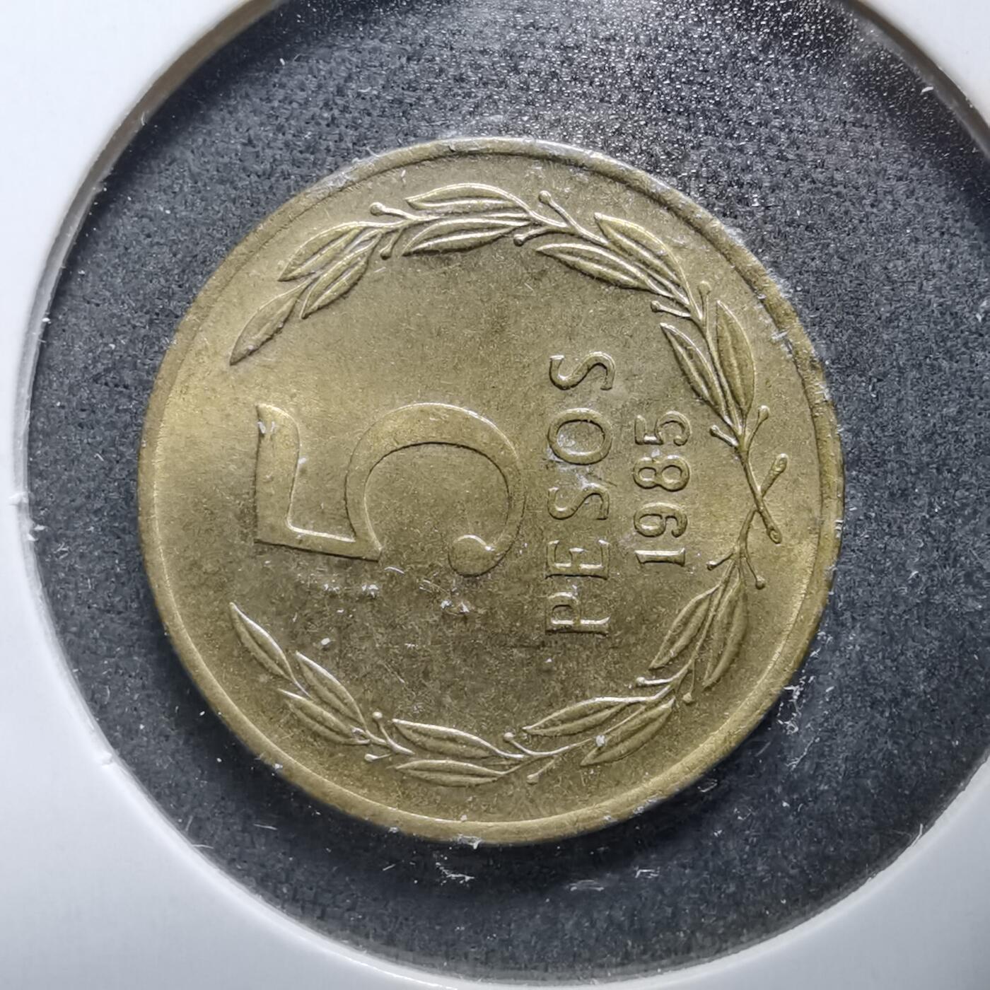 沼泽如烟--第889场