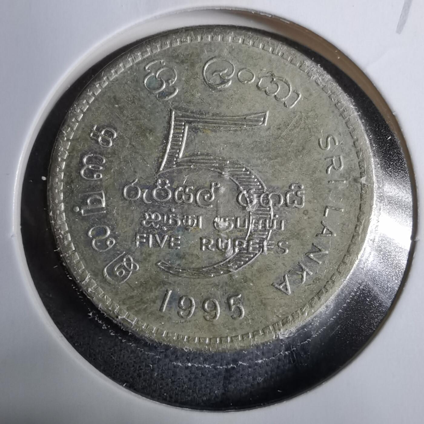 沼泽如烟--第889场