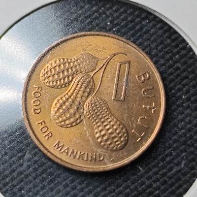 KK钱币收藏小铺  第363场  2月预留时间 周末发货 -  1985冈比亚1分 花生铜币 好品