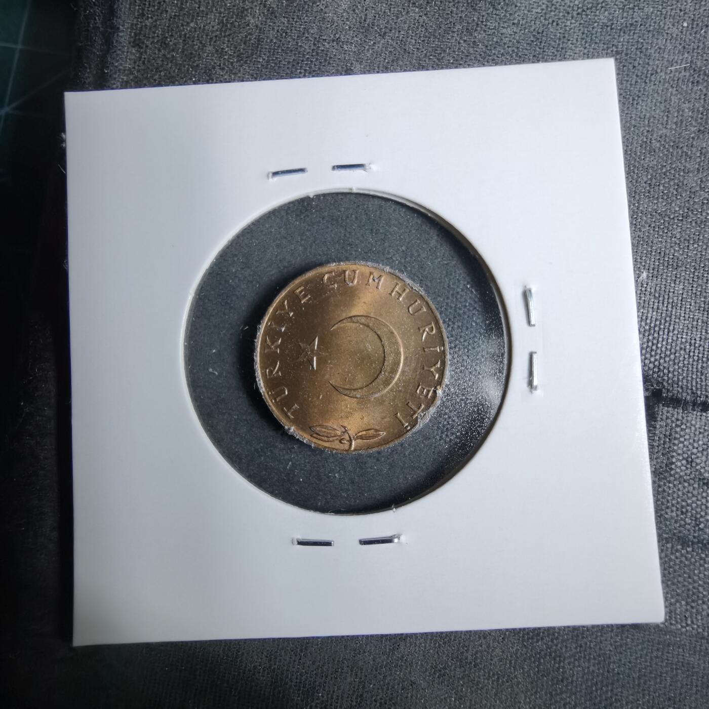 沼泽如烟--第889场