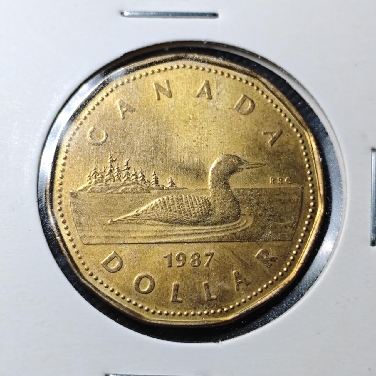 KK钱币收藏小铺  第363场  2月预留时间 周末发货  加拿大1元 好品