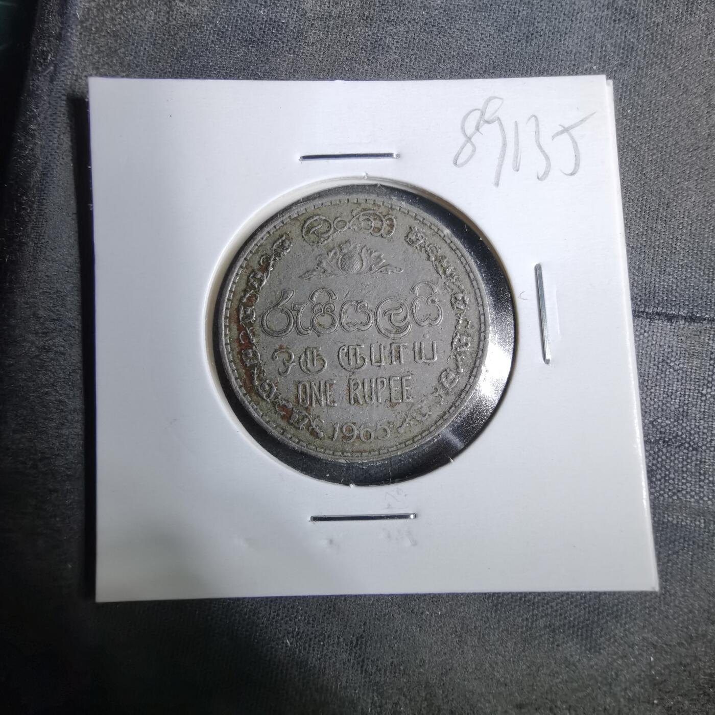 沼泽如烟--第889场