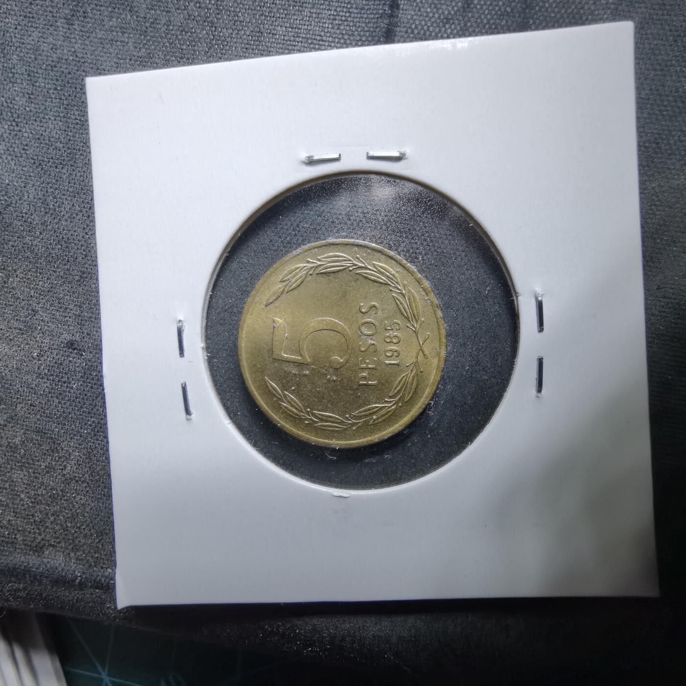 沼泽如烟--第889场