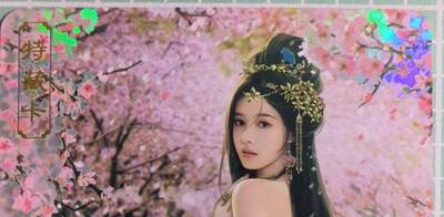 C先生卡牌 第15期 元集纪·刷子签·罐儿签·毒瘤签(持续收拍品中...) - 【彩闪】卡将文创《绝代芳华》李师师  艺术卡