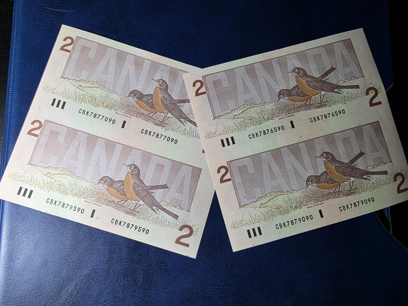 叁拾收藏第33期