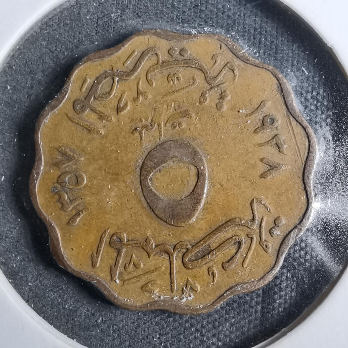 沼泽如烟--第889场