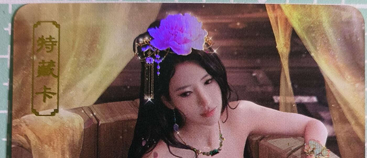 C先生卡牌 第15期 元集纪·刷子签·罐儿签·毒瘤签(持续收拍品中...) 【彩闪】卡将文创《欲女传》唐婉  艺术卡