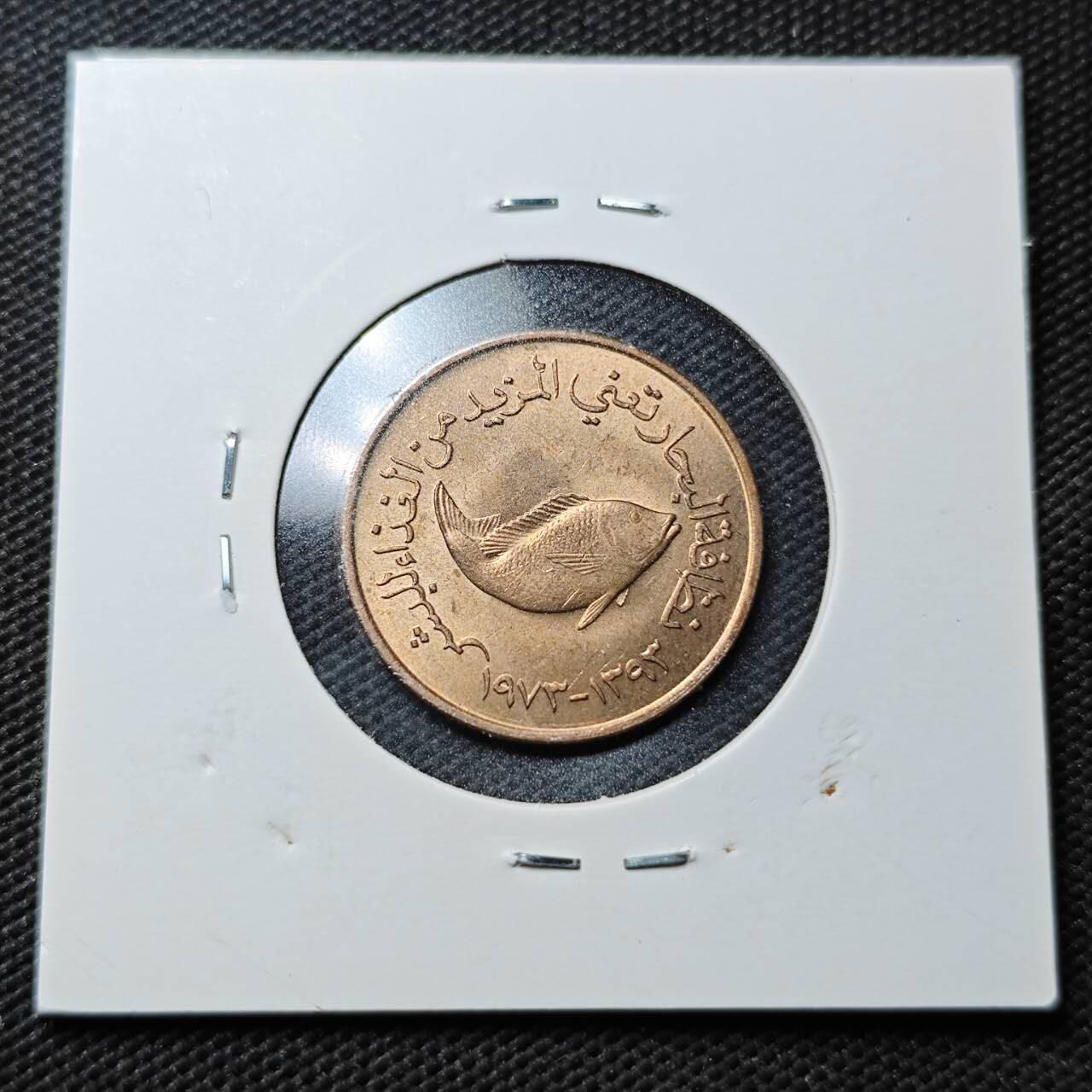 KK钱币收藏小铺  第363场  2月预留时间 周末发货  阿联酋5费尔纪念币 好品