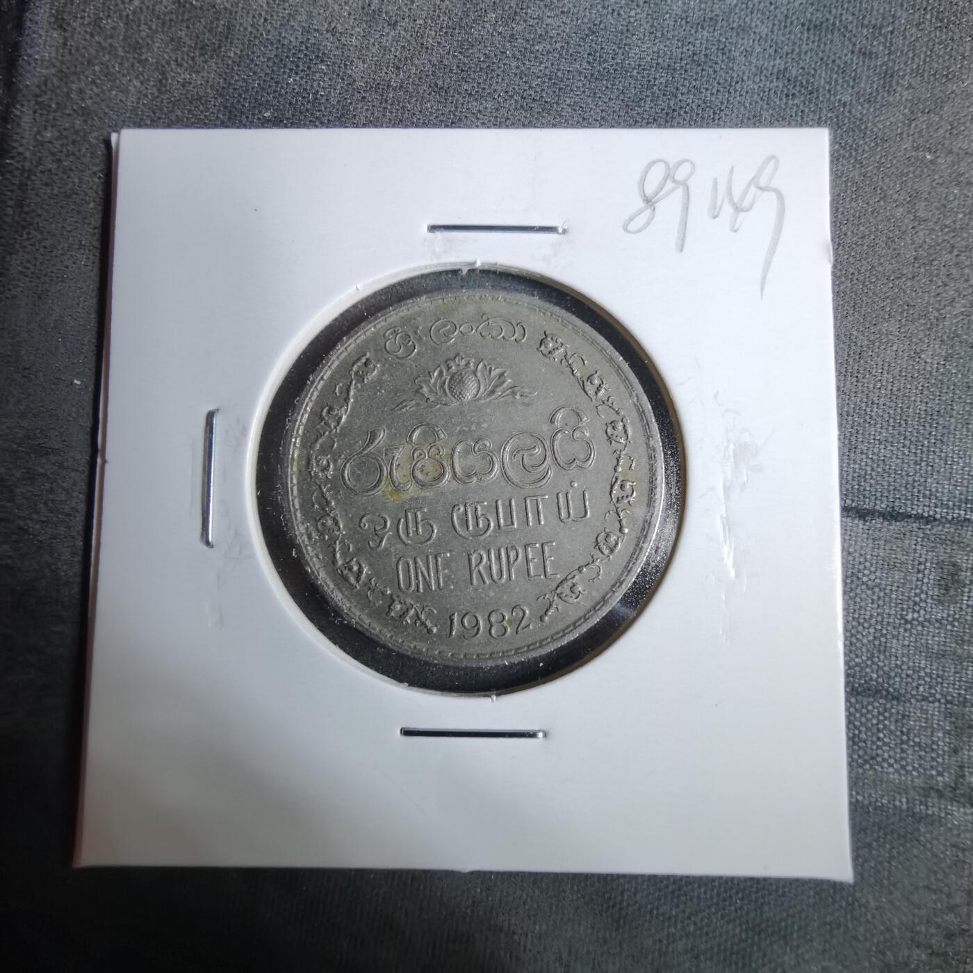 沼泽如烟--第889场