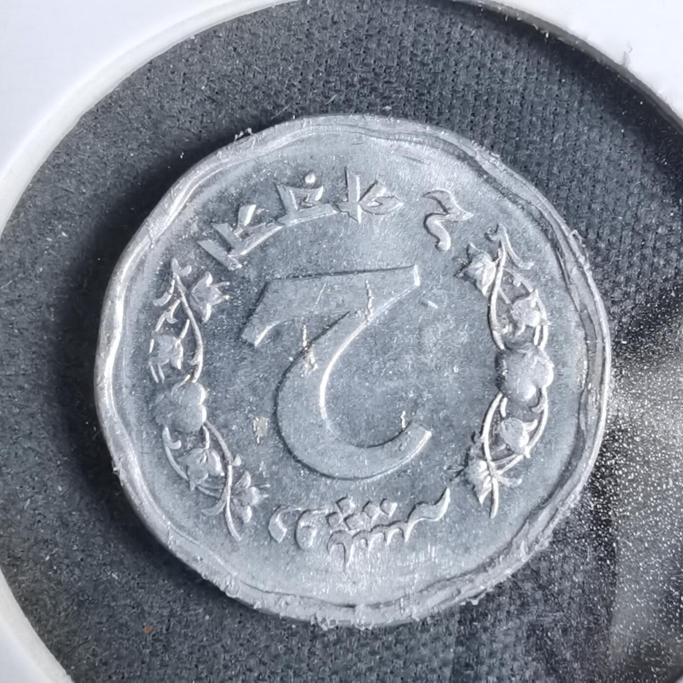 沼泽如烟--第889场