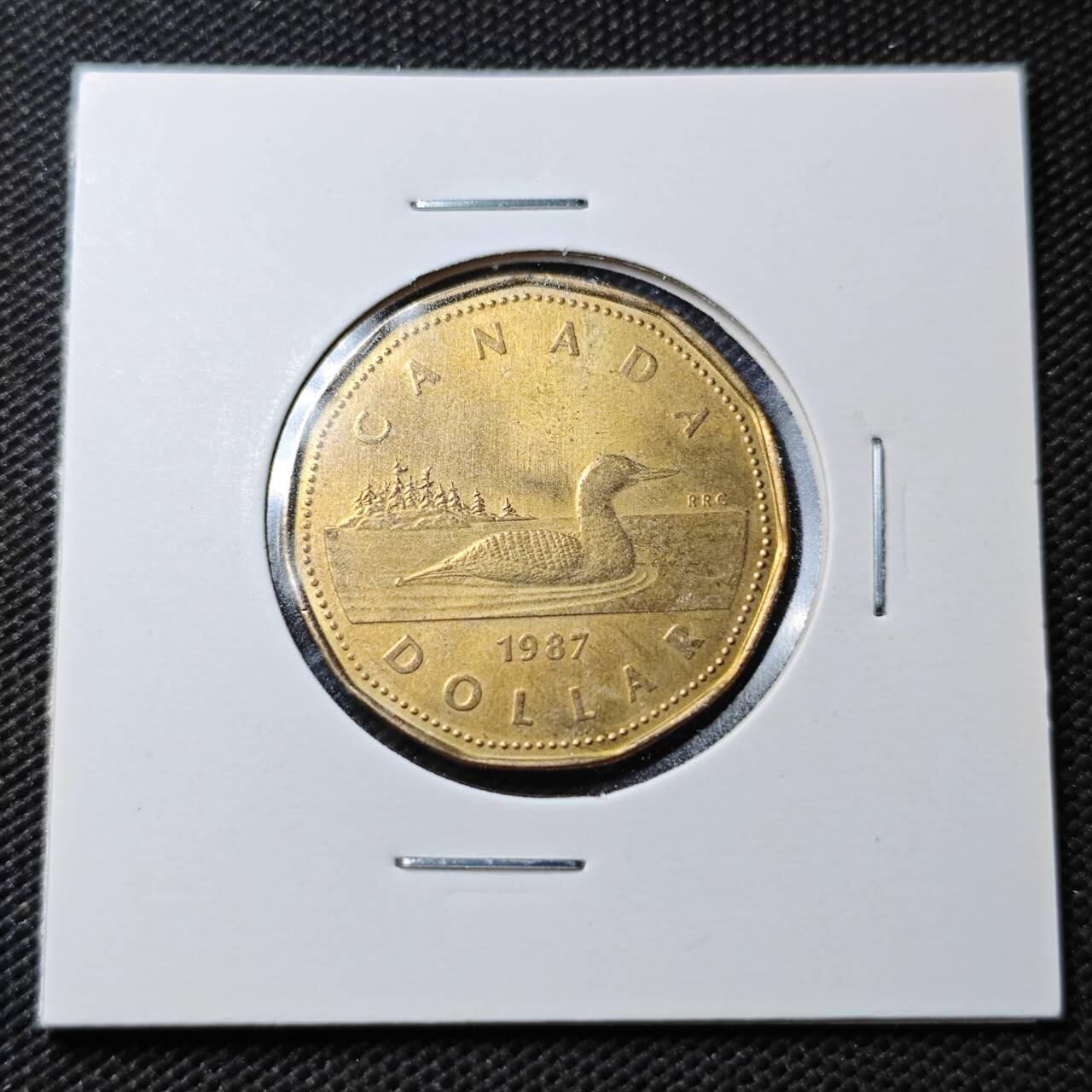 KK钱币收藏小铺  第363场  2月预留时间 周末发货  加拿大1元 好品