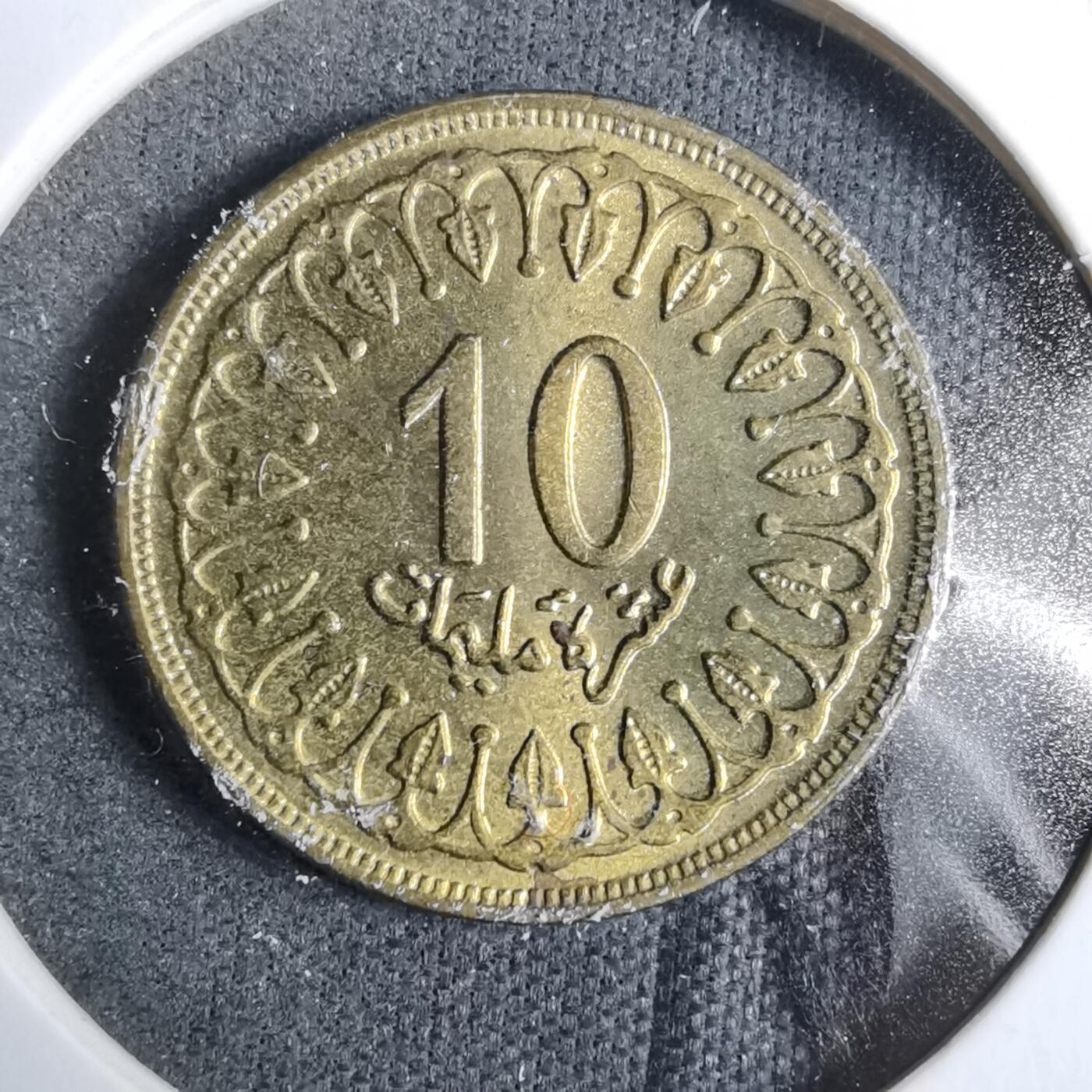 沼泽如烟--第889场