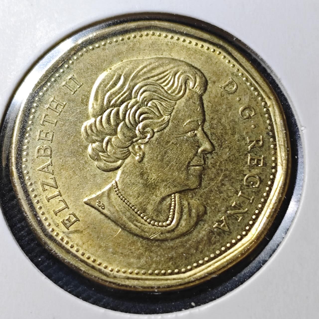 KK钱币收藏小铺  第363场  2月预留时间 周末发货  2019加拿大1元纪念币