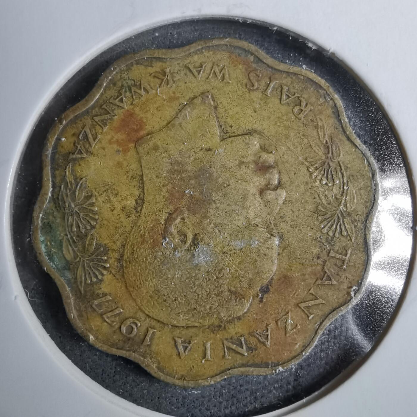 沼泽如烟--第889场