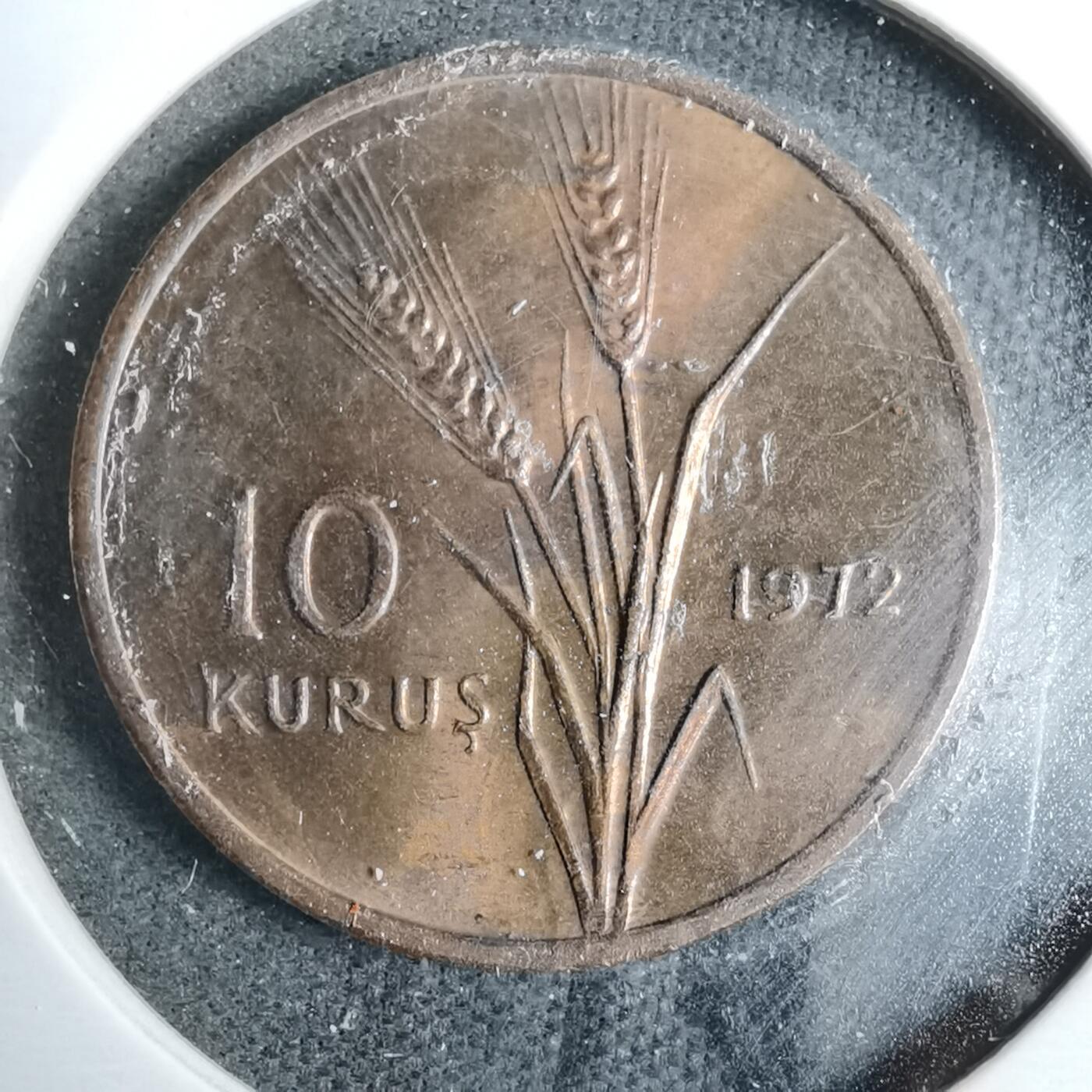 沼泽如烟--第889场