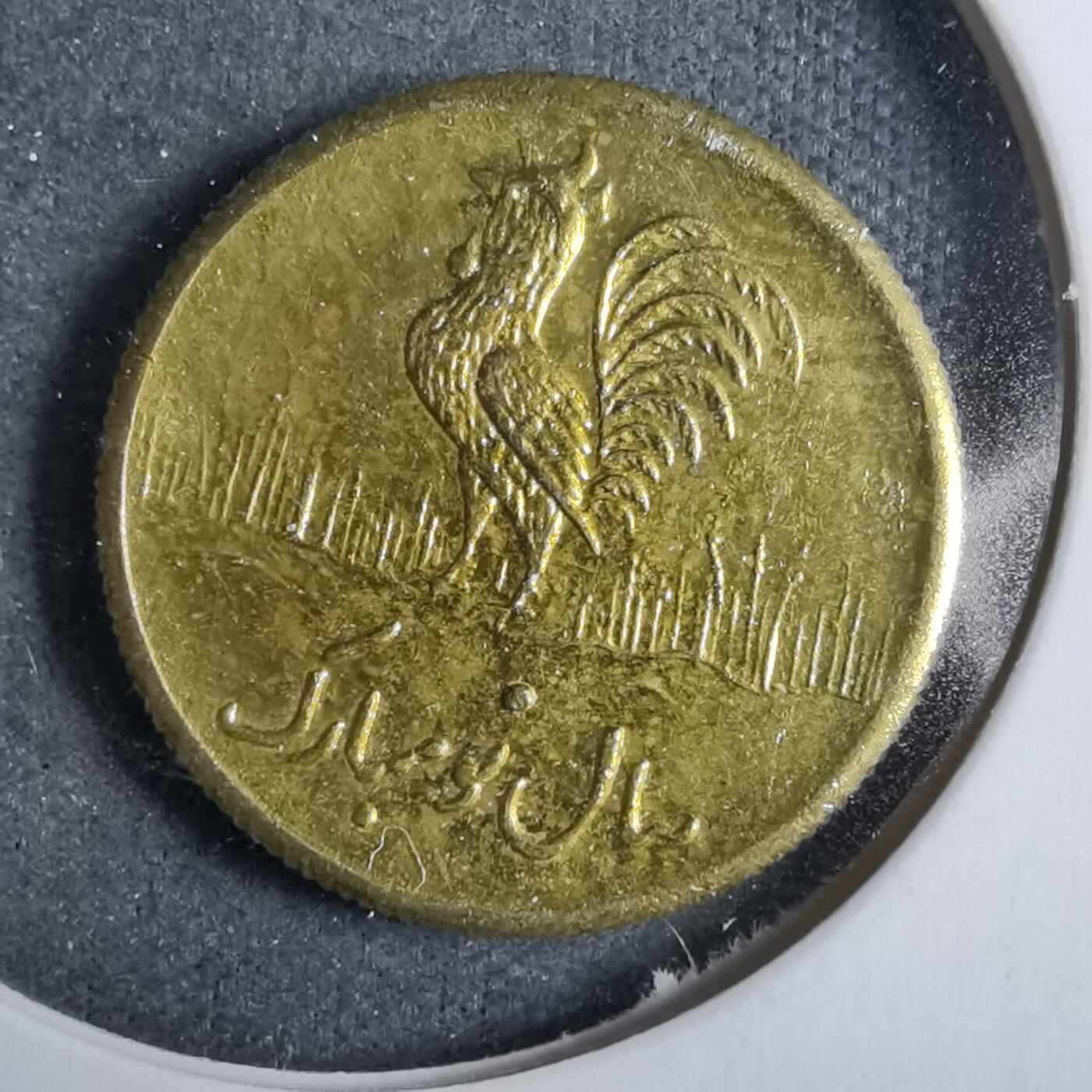 沼泽如烟--第889场 伊朗代币