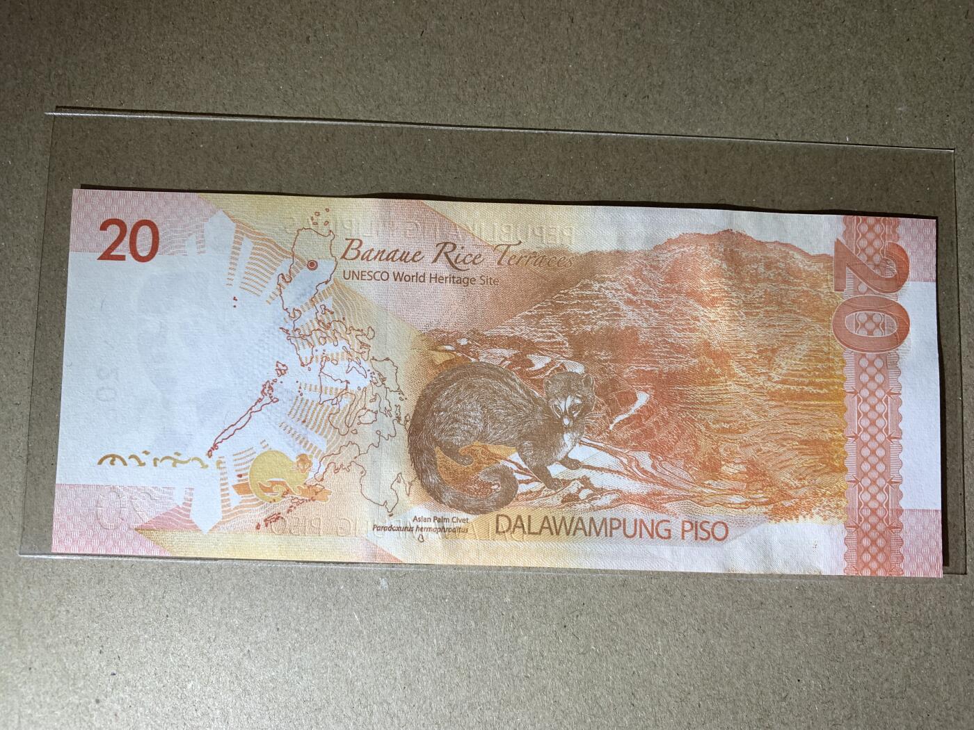 【礼羽收藏】🌏世界钱币拍卖第110期