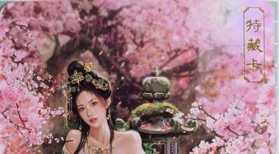 C先生卡牌 第15期 元集纪·刷子签·罐儿签·毒瘤签(持续收拍品中...) - 【彩闪】卡将文创《绝代芳华》薛灵芸  艺术卡