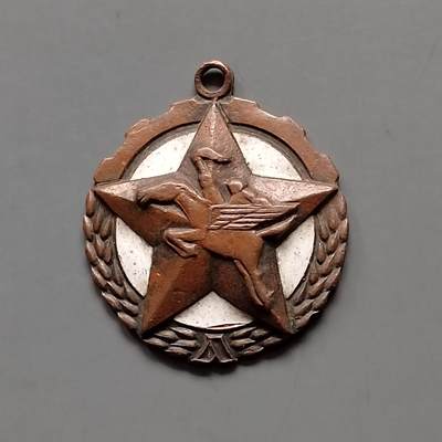 朝鲜千里马纪念章 - 朝鲜千里马纪念章