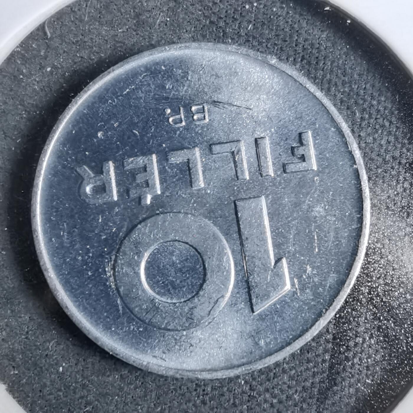 沼泽如烟--第889场