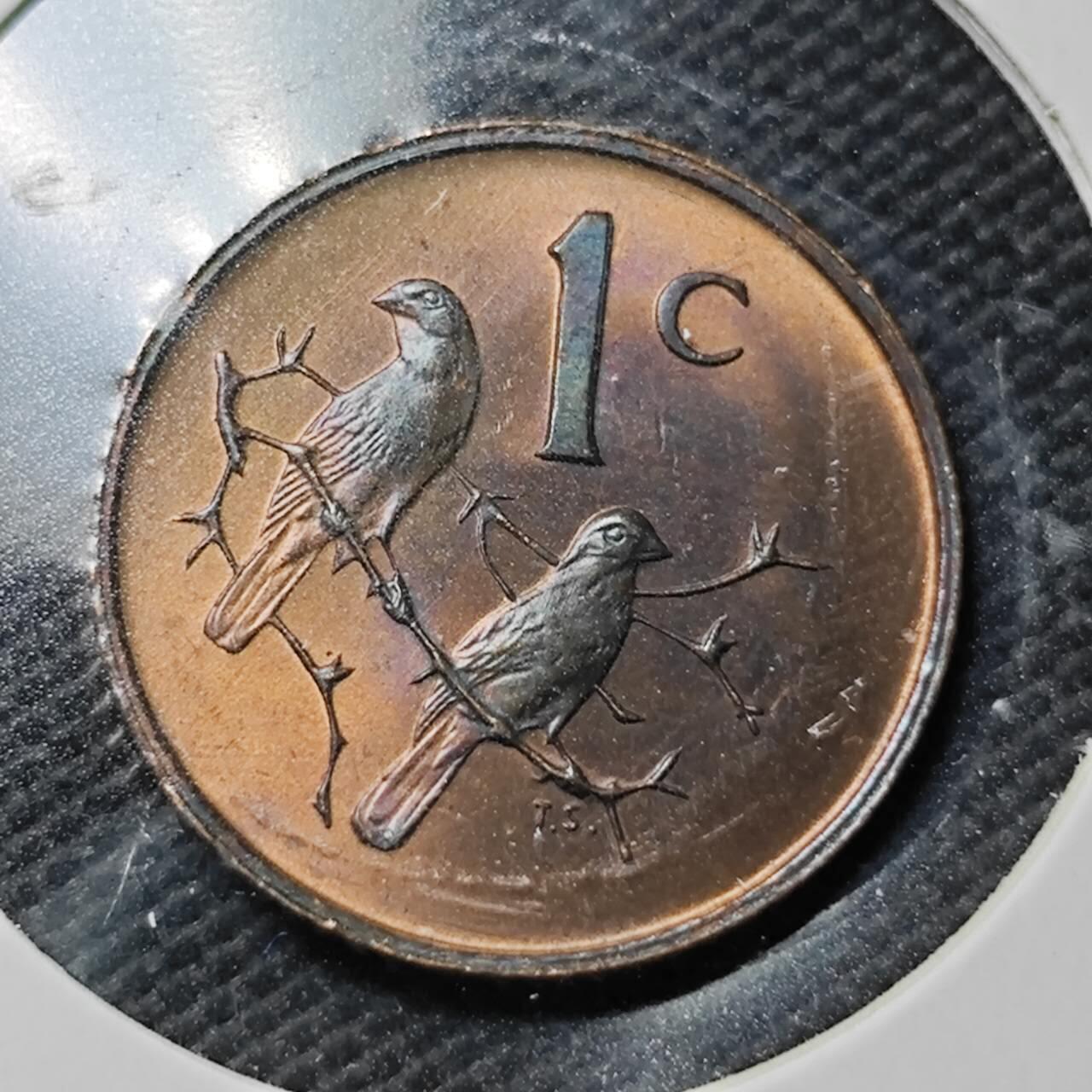 KK钱币收藏小铺  第363场  2月预留时间 周末发货  1969南非1分铜币 好品