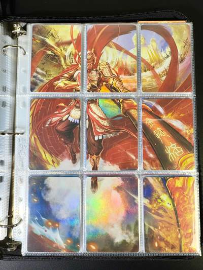 NO.14 好又多金牌大场，双11狂欢！每周一站式配齐，方便凑单！（周6晚8点截拍，卖家送拍0抽成！） - 趣卡社 俺去西天取个经 齐天大圣 九拼