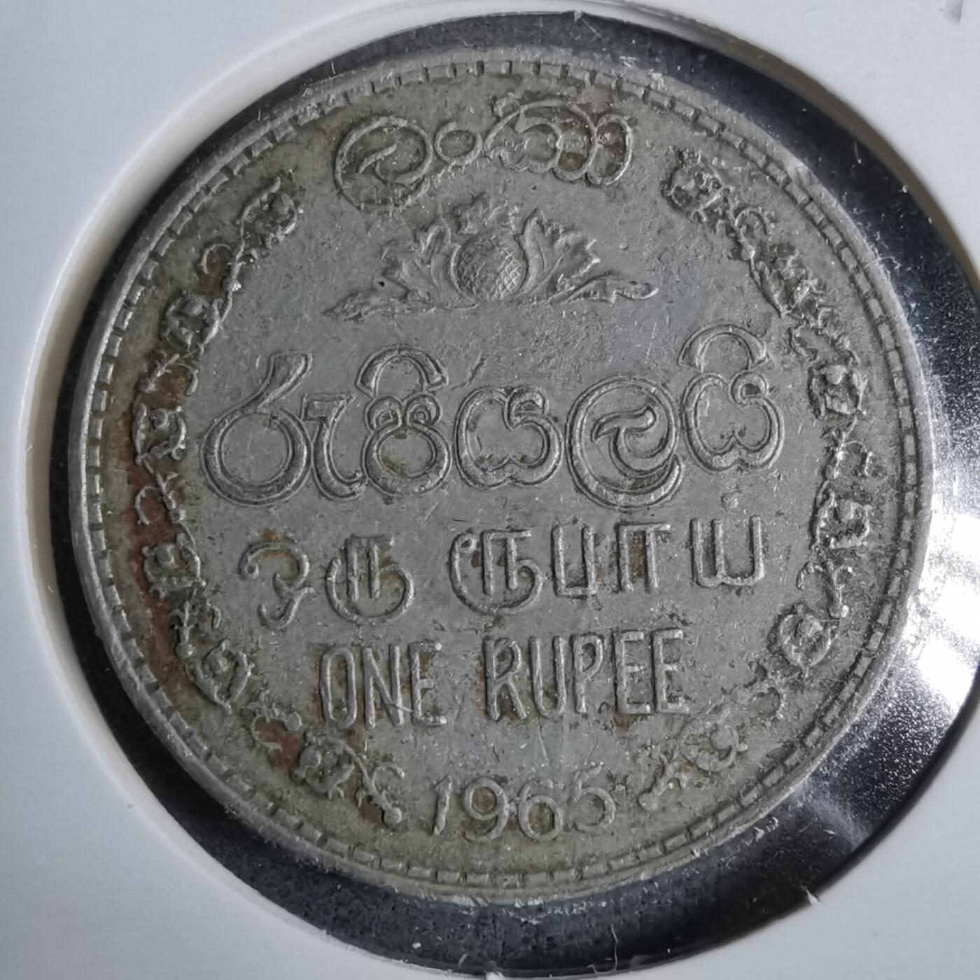 沼泽如烟--第889场