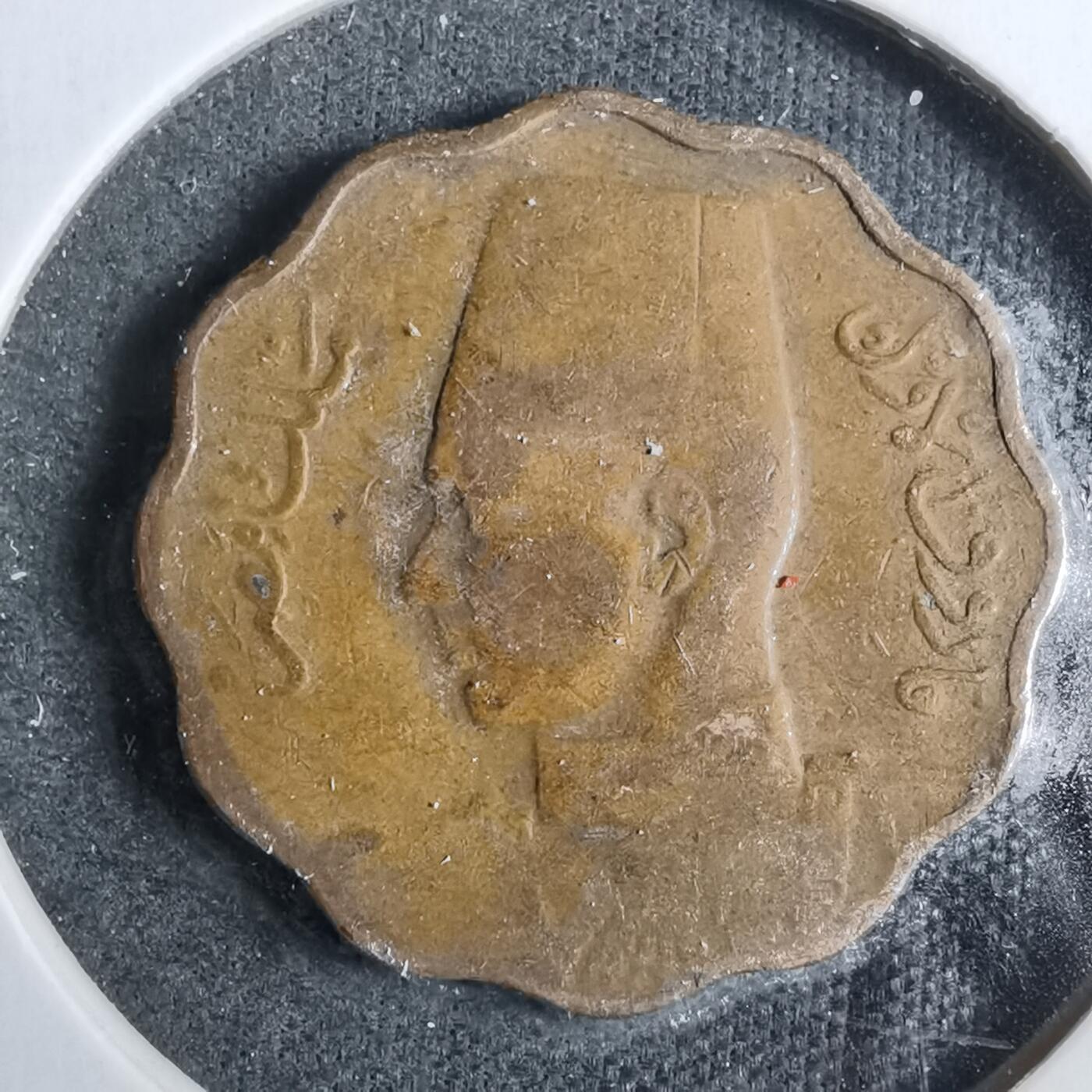 沼泽如烟--第889场