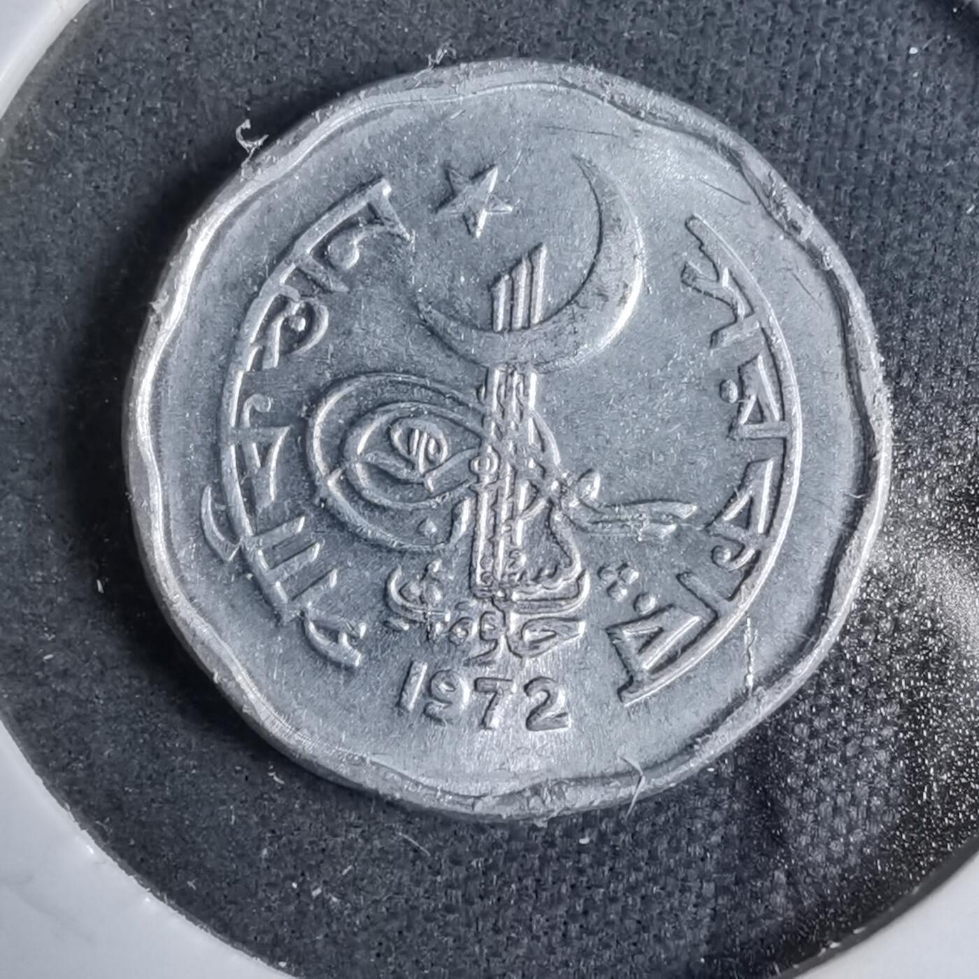 沼泽如烟--第889场