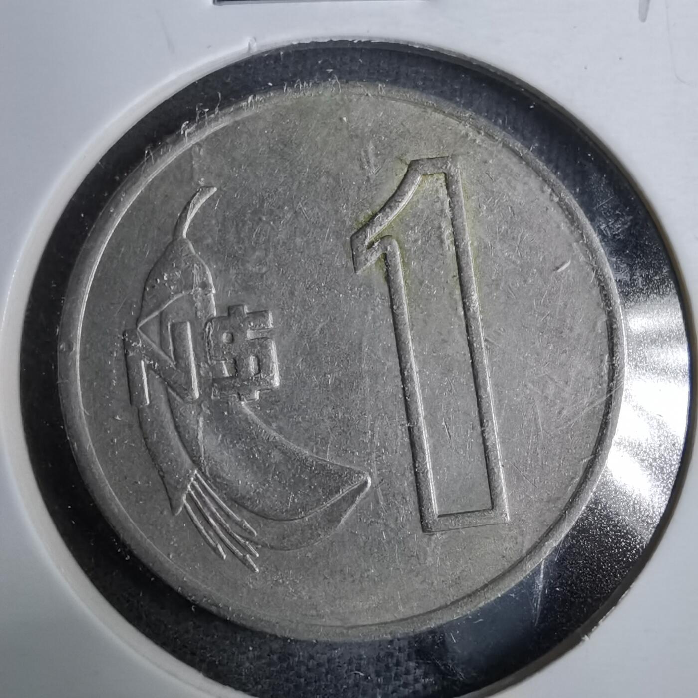 沼泽如烟--第889场