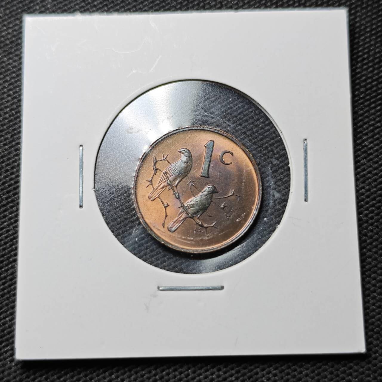 KK钱币收藏小铺  第363场  2月预留时间 周末发货  1969南非1分铜币 好品