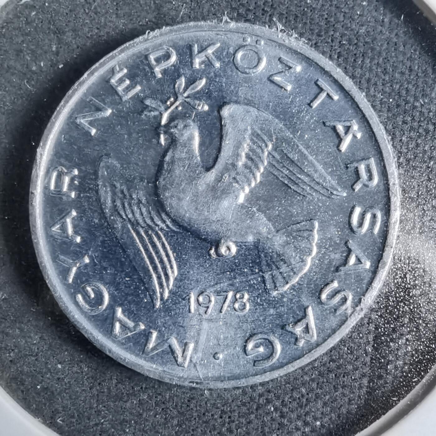 沼泽如烟--第889场