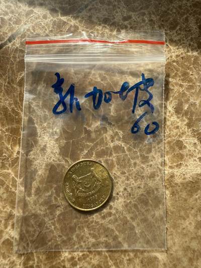 四海杂货铺第十场 - 新加坡硬币